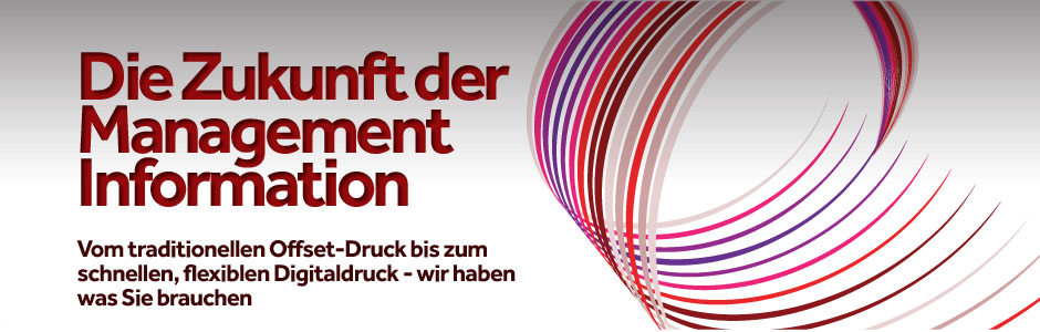 Die Zukunft der Management Information